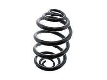 Load image into Gallery viewer, Coil Spring
