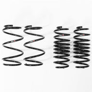 RS-R 10-15 Toyota Prius (ZVW30) Down Sus Springs | T085D