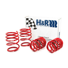 Load image into Gallery viewer, H&amp;R 01-06 BMW 325Ci Cabrio/330Ci Cabrio E46 Race Spring (w/Sport Suspension)
