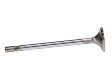 Load image into Gallery viewer, Manley Performance Valves Manley Ford GT350 Voodoo 5.2L Race Master Series Exhaust Valve Set - 1.280in Dia
