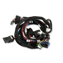 Load image into Gallery viewer, 565-304k_08.jpg
