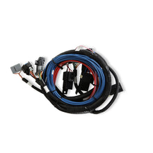 Load image into Gallery viewer, 565-308k_09.jpg

