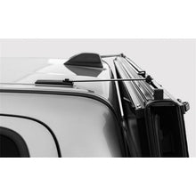 Load image into Gallery viewer, Photo - Mounted
