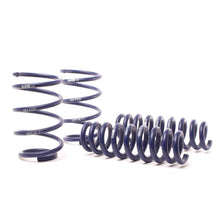Load image into Gallery viewer, H&amp;R 13-15 BMW X1 sDrive28i E84 Sport Spring (2WD Only)
