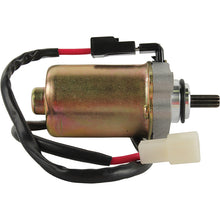 Load image into Gallery viewer, Arrowhead Mitsuba 12V 10T Str. Uncategorized Arrowhead   
