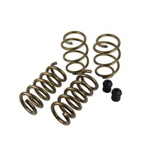 Load image into Gallery viewer, HURST STAGE 1 PERFORMANCE SPRING KIT - FORD MUSTANG
