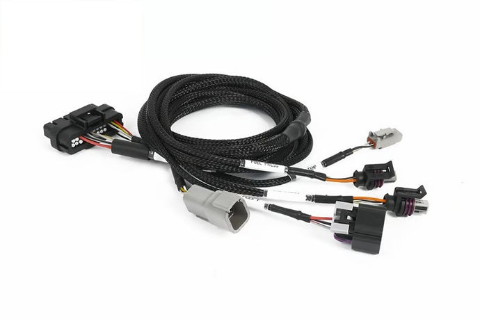 Haltech Nexus Universal Plug-in IO Expansion Harness - 2.5m (8ft) Haltech