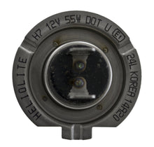 Load image into Gallery viewer, Photo - Primary
