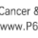 Load image into Gallery viewer, Bilstein 5100 Series 1977 Chevrolet K30 Cheyenne Rear 46mm Monotube Shock Absorber Bilstein
