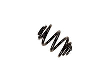 Load image into Gallery viewer, Coil Spring
