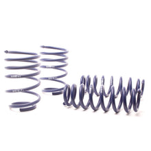 Load image into Gallery viewer, H&amp;R 07-11 BMW 328i Sedan/335i Sedan E90 Race Spring

