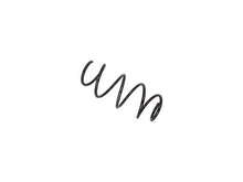 Load image into Gallery viewer, Coil Spring
