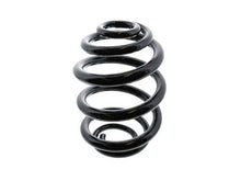 Load image into Gallery viewer, Coil Spring
