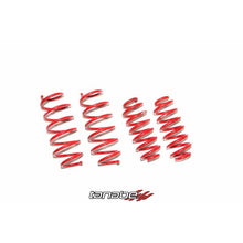 Load image into Gallery viewer, Tanabe NF210 Springs 15-16 Honda HR-V AWD | TNF195
