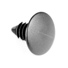 Load image into Gallery viewer, Photo - Unmounted
