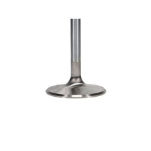 Load image into Gallery viewer, User 3
