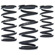 AST Linear Race Springs - 250mm Length x 65 N/mm Rate x 61mm ID - Single | AST-250-65-61