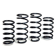Load image into Gallery viewer, H&amp;R 01-12 Ford Escape (2WD/4WD) 4 Cyl/V6 Adventure Raising Spring

