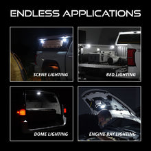 Load image into Gallery viewer, Diode Dynamics Stage Series SXS Rock Light Installer Kit - White Diffused M8 (4-pack) | DD7750
