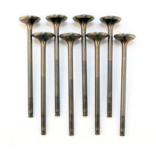 Load image into Gallery viewer, BLOX Racing High Compression Exhaust Valve Set for D-series SOHC VTEC (D16Z-Y)
