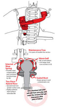 Load image into Gallery viewer, SPC Performance Toyota Light Truck UCA Control Arms SPC Performance
