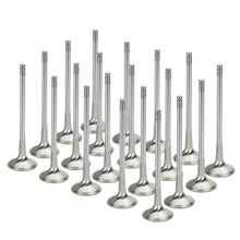 Load image into Gallery viewer, Supertech BMW S85 V10 Inconel Exhaust Valve - +2mm Oversize - Set of 20 Supertech
