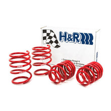 Load image into Gallery viewer, H&amp;R 01-06 BMW 325Ci Cabrio/330Ci Cabrio E46 Race Spring (w/Sport Suspension)
