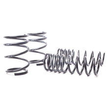Load image into Gallery viewer, H&amp;R 04-06 BMW 525i/530i/545i E60 Race Spring (w/o Self Leveling)
