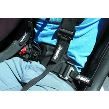 Load image into Gallery viewer, DragonFire Racing Seat Belts &amp; Harnesses DragonFire Racing Harness Evo- Black
