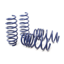 Load image into Gallery viewer, H&amp;R 17-19 Tesla Model 3 Long Range (RWD) Sport Spring (Non Air Susp.)
