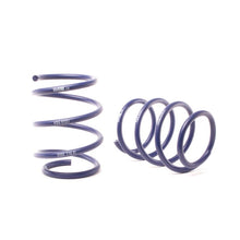 Load image into Gallery viewer, H&amp;R 04-06 BMW 545i E60 Sport Spring (w/Self Leveling)
