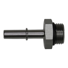 Load image into Gallery viewer, Photo - Primary
