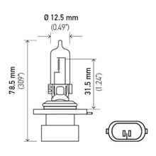 Load image into Gallery viewer, Technical Drawing
