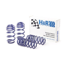 Load image into Gallery viewer, H&amp;R 13-17 Audi SQ5 (AWD) 8R Sport Spring
