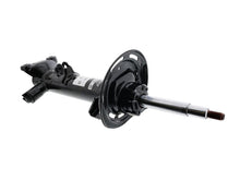 Load image into Gallery viewer, Strut
