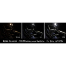 Load image into Gallery viewer, User 3
