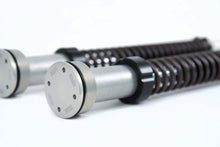 Load image into Gallery viewer, Ohlins 06-17 Harley Dyna FXD (Showa)NIX 22 Cust/Heritage Cartridge Kit (Incl. Springs 04744-10 / 11) | FKS 212
