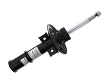 Load image into Gallery viewer, Strut
