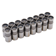 Load image into Gallery viewer, 009705_v1.jpg
