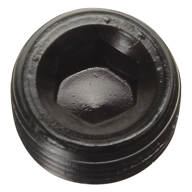 Russell Performance 1/4in Allen Socket Pipe Plug (Black) Russell