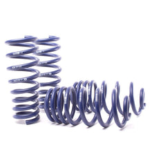Load image into Gallery viewer, H&amp;R 07-13 BMW X5 E70 Sport Spring (w/o Self-Leveling/Incl. Diesel)
