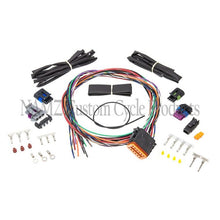 Load image into Gallery viewer, NAMZ Twin Cam Ignition Harness (For 04-06 OEM Style or Screaming Eagle Ignition Module) Misc Powersports NAMZ   
