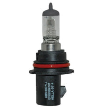 Load image into Gallery viewer, Photo - Primary
