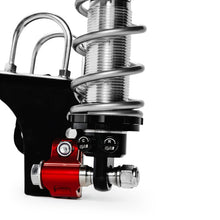 Load image into Gallery viewer, Photo - Close Up
