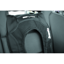 Load image into Gallery viewer, DragonFire Racing Seat Belts &amp; Harnesses DragonFire Racing Harness Evo- Black
