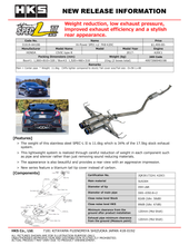 Load image into Gallery viewer, HKS Hi-Power Muffler SPEC-L2 FK8 K20C Catback HKS   
