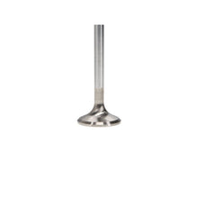 Load image into Gallery viewer, User 3
