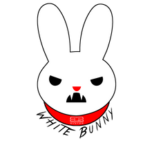 Load image into Gallery viewer, Competition Clutch Infiniti G37 / Nissan 370Z VQ35HR / VQ37HR - White Bunny Stock Upgrade Kit Competition Clutch
