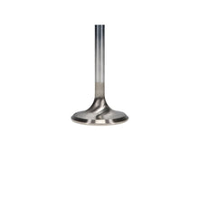 Load image into Gallery viewer, User 3
