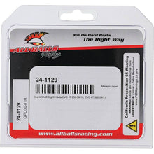 Load image into Gallery viewer, All Balls Racing Crank Bearing Kit | 24-1129
